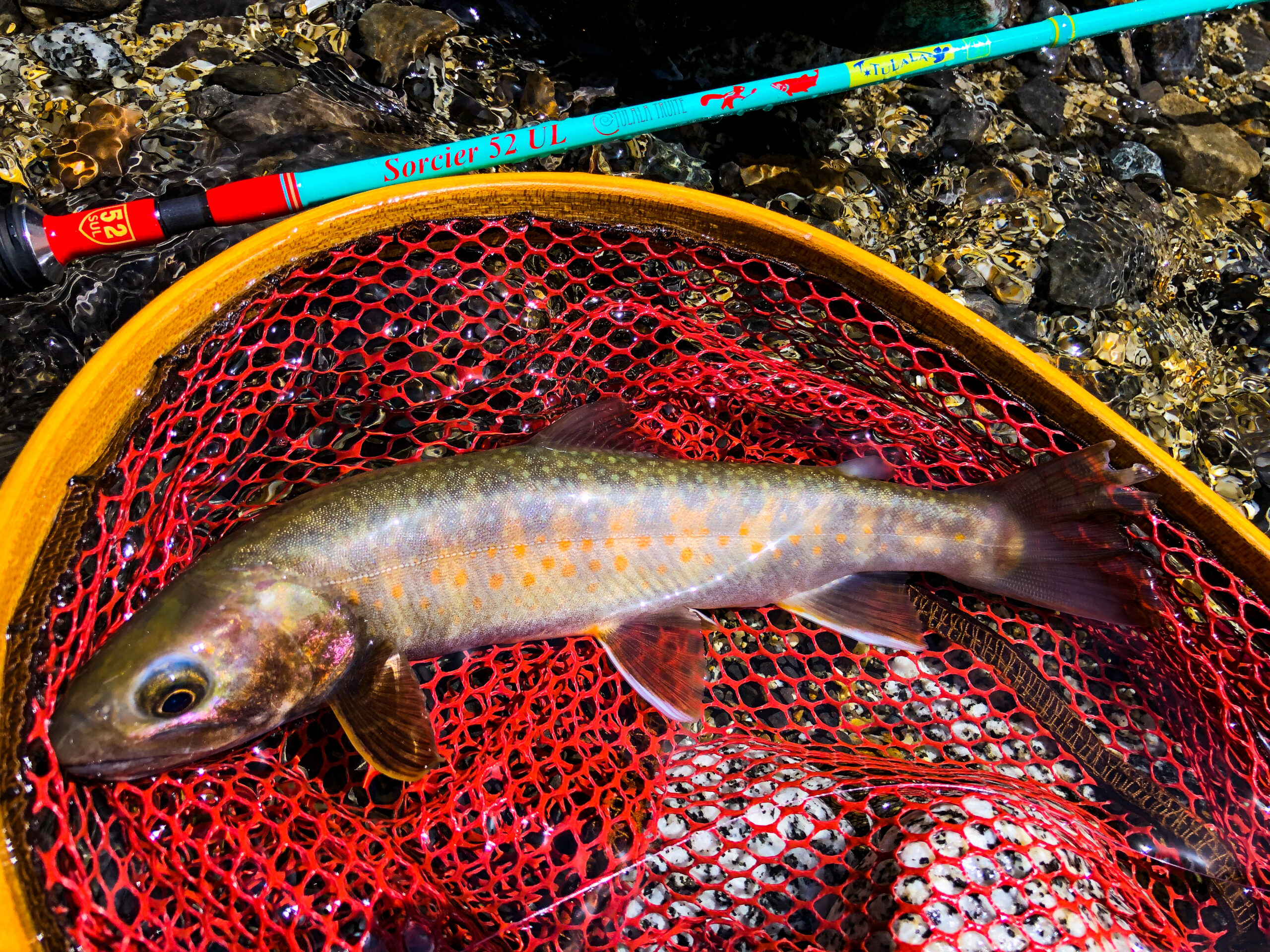 ▽長野県の渓流釣り場ガイド 南信編 釣り ヤマメ イワナ 山と渓谷社 