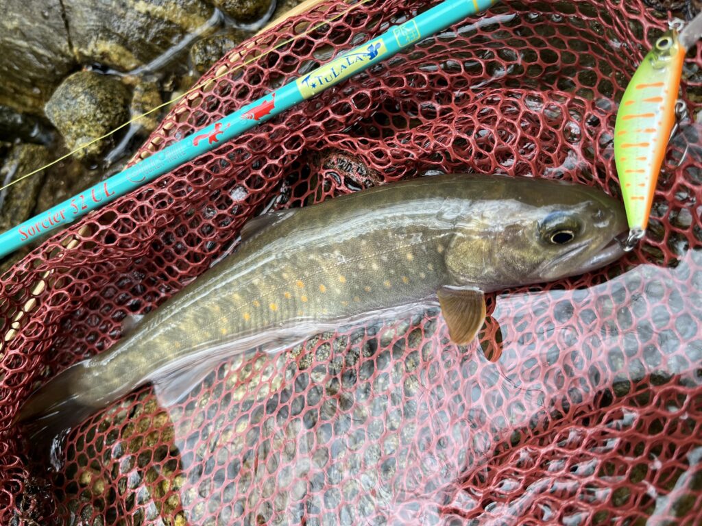 上伊那の里川で癒しの渓流釣り